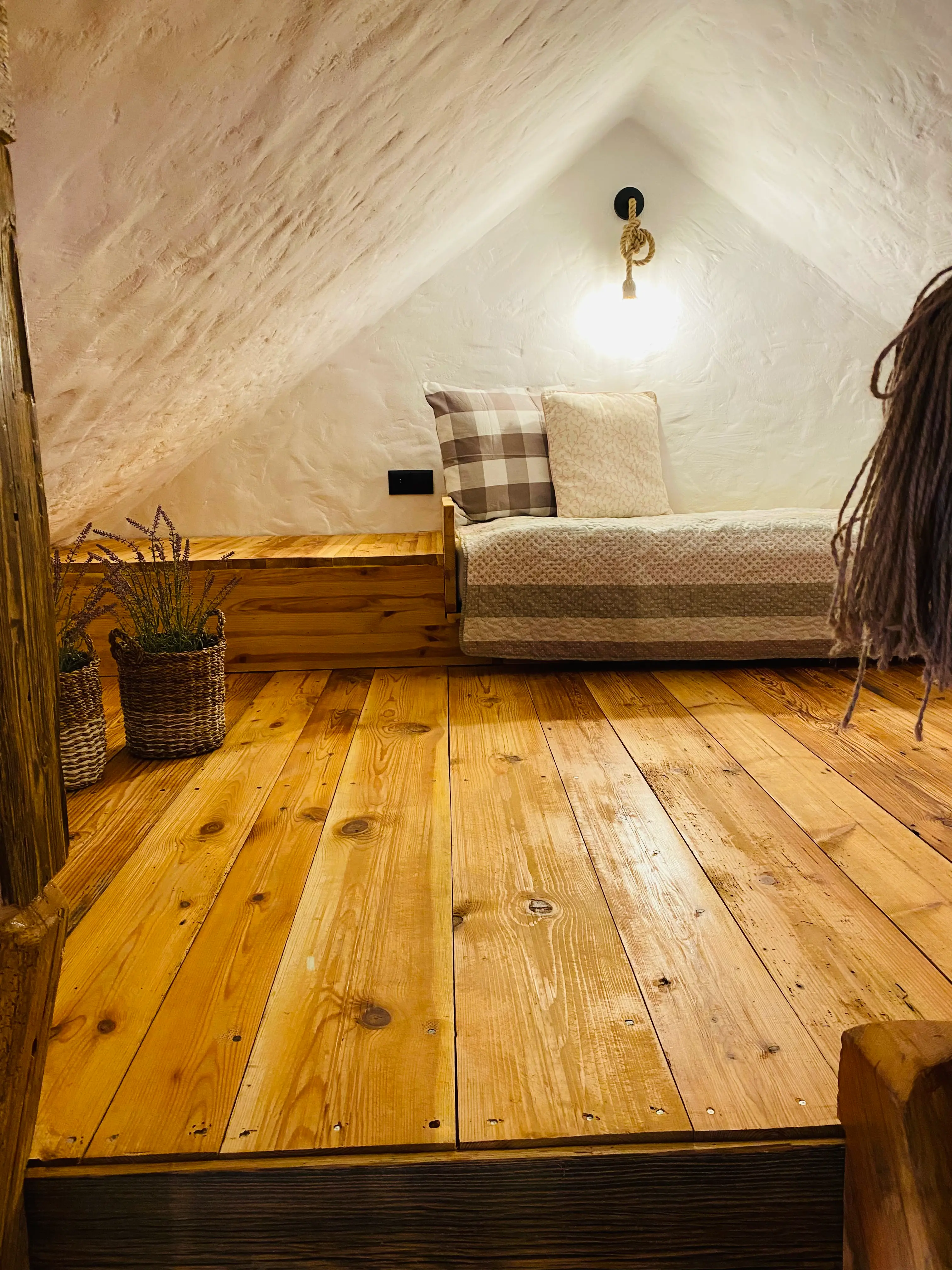 Stara Cegielnia - zdjęcie 6